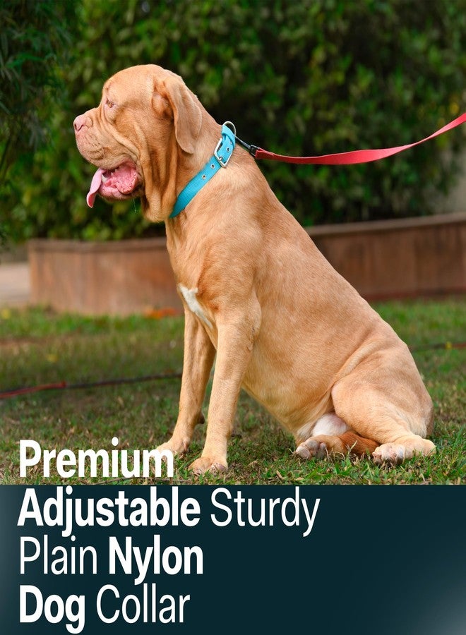 ADIL'S Nylon Dog Collar,Adjustable Metal Buckle With D-Ring Width: 25Mm Pet Collars For Small,Medium&Large Dog,14 Color Options,Size: L,Teal - Image 5